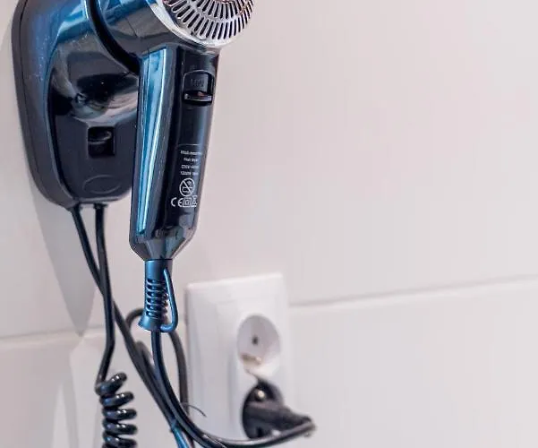 Проживание в семье Loft